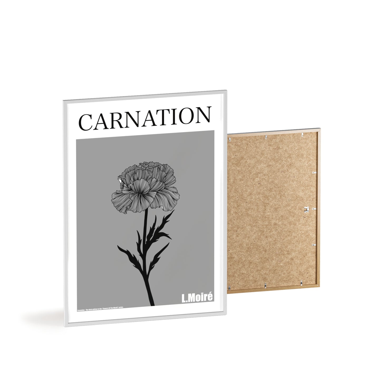 Carnation - The third edition to the - Flower Of The World - series.