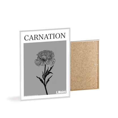 Carnation - The third edition to the - Flower Of The World - series.