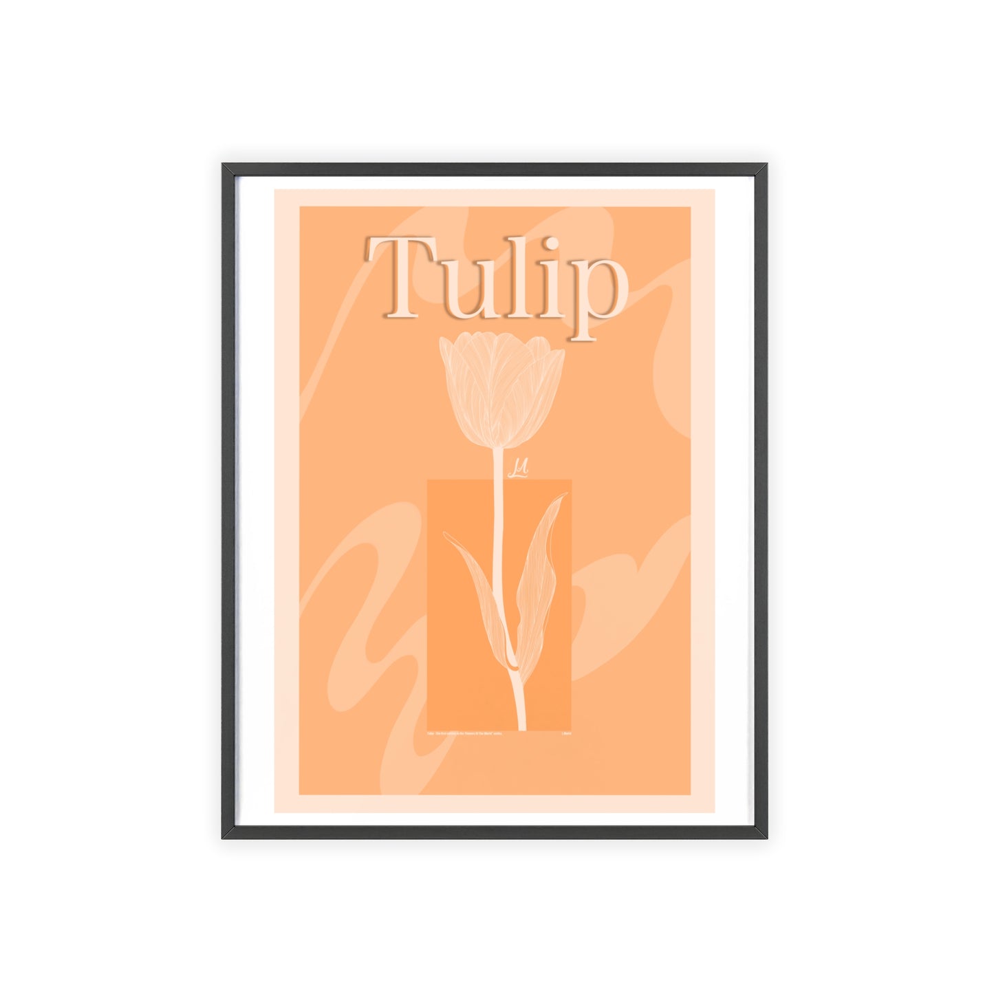 Tulip - The first edition to the - Flowers Of The World - serie. - Framed.