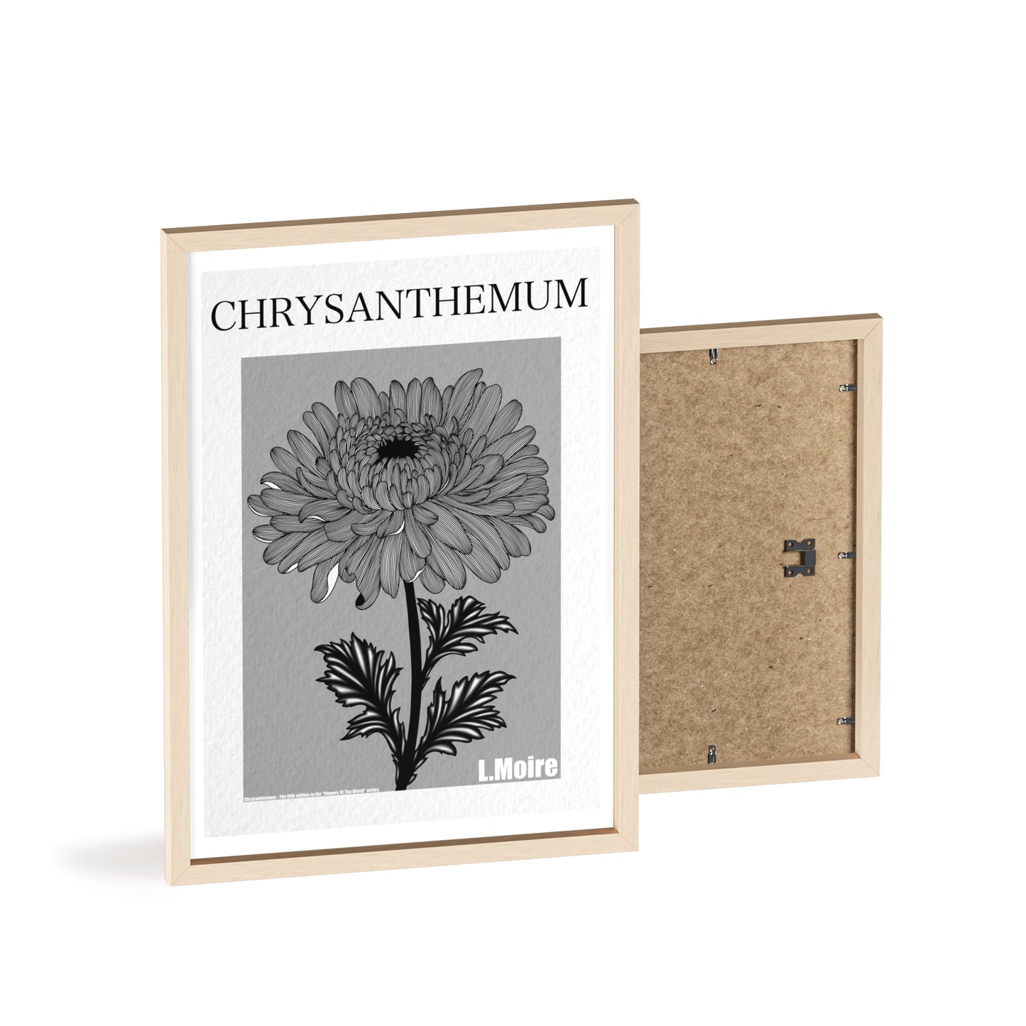 Chrysanthemum - The fifth edition - Flowers Of The World.