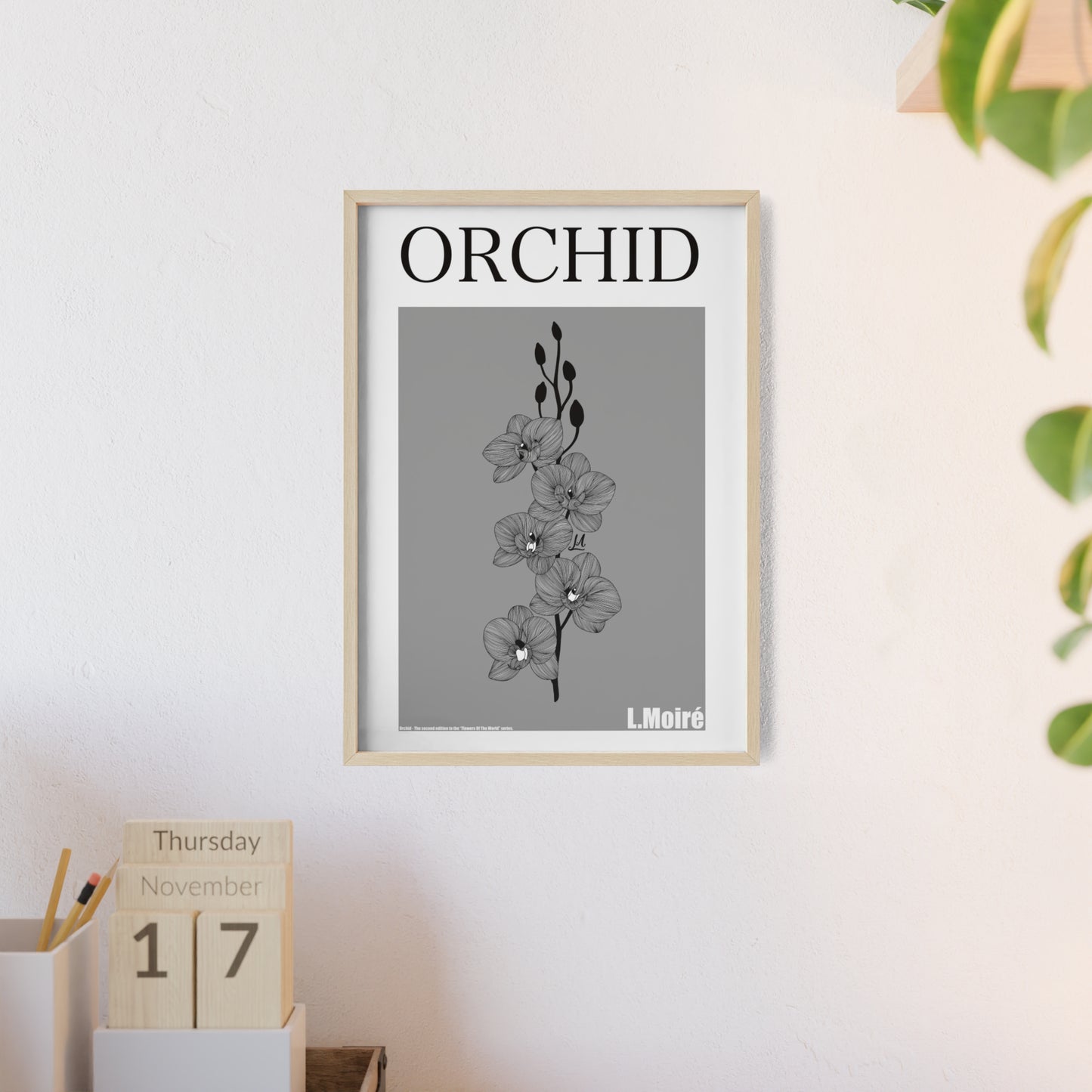 Orchid - The second edition to the - Flowers Of The World - series. - Framed.