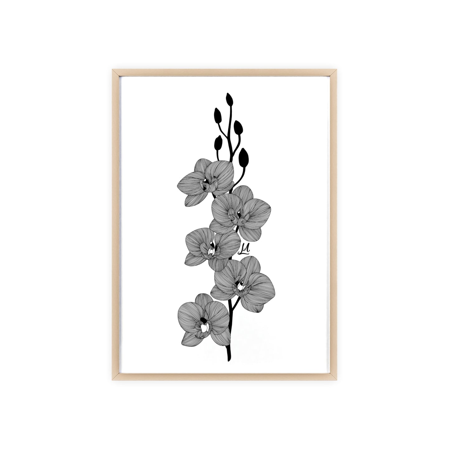 Elegant orchid line artwork - Framed.