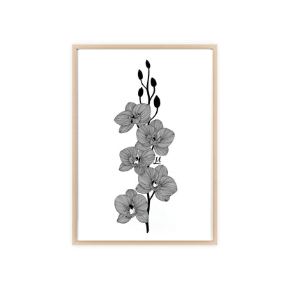 Elegant orchid line artwork - Framed.