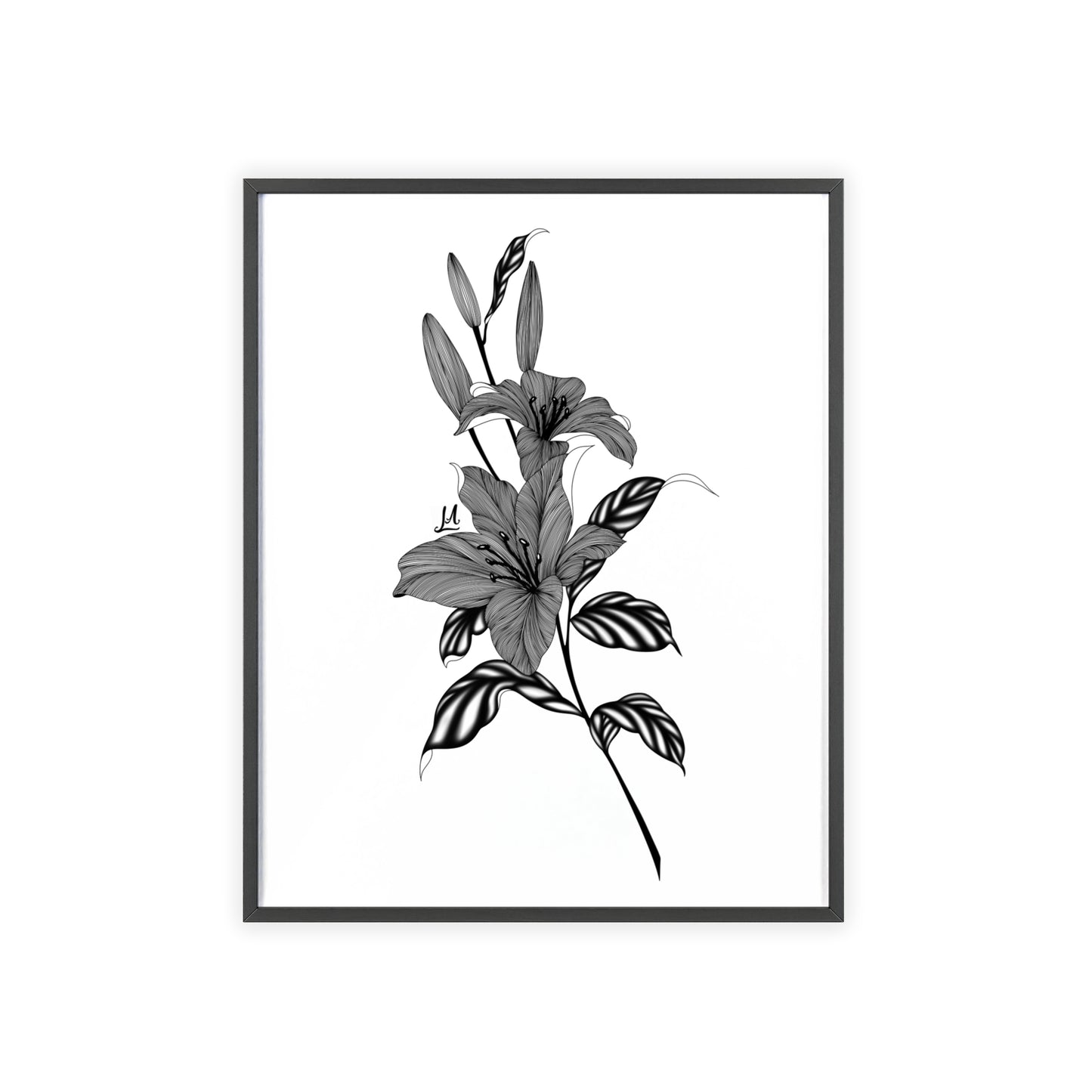 Elegant Floral Wall Art, Black and White Lily artwork - Framed.
