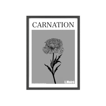 Carnation - The third edition to the - Flower Of The World - series.