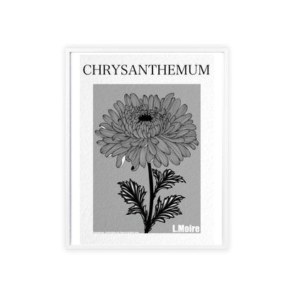 Chrysanthemum - The fifth edition - Flowers Of The World.