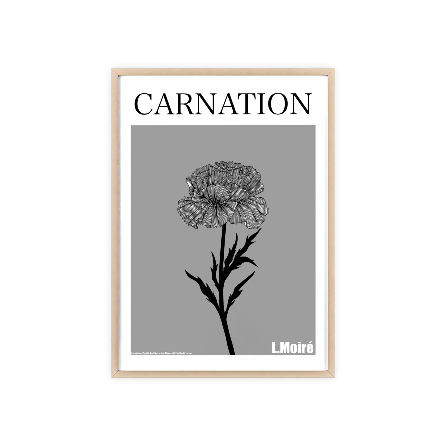 Carnation - The third edition to the - Flower Of The World - series.