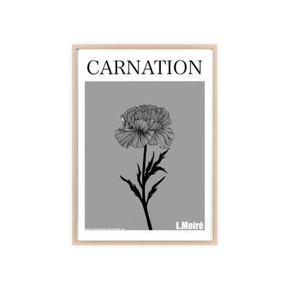 Carnation - The third edition to the - Flower Of The World - series.
