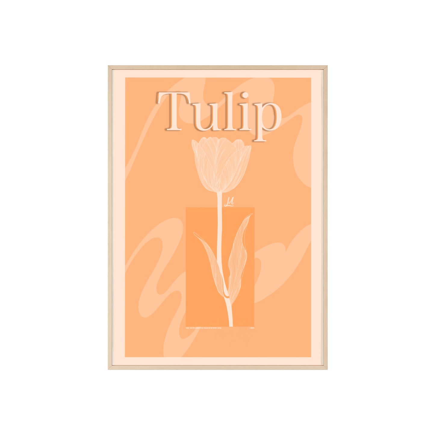 Tulip - The first edition to the - Flowers Of The World - serie. - Framed.