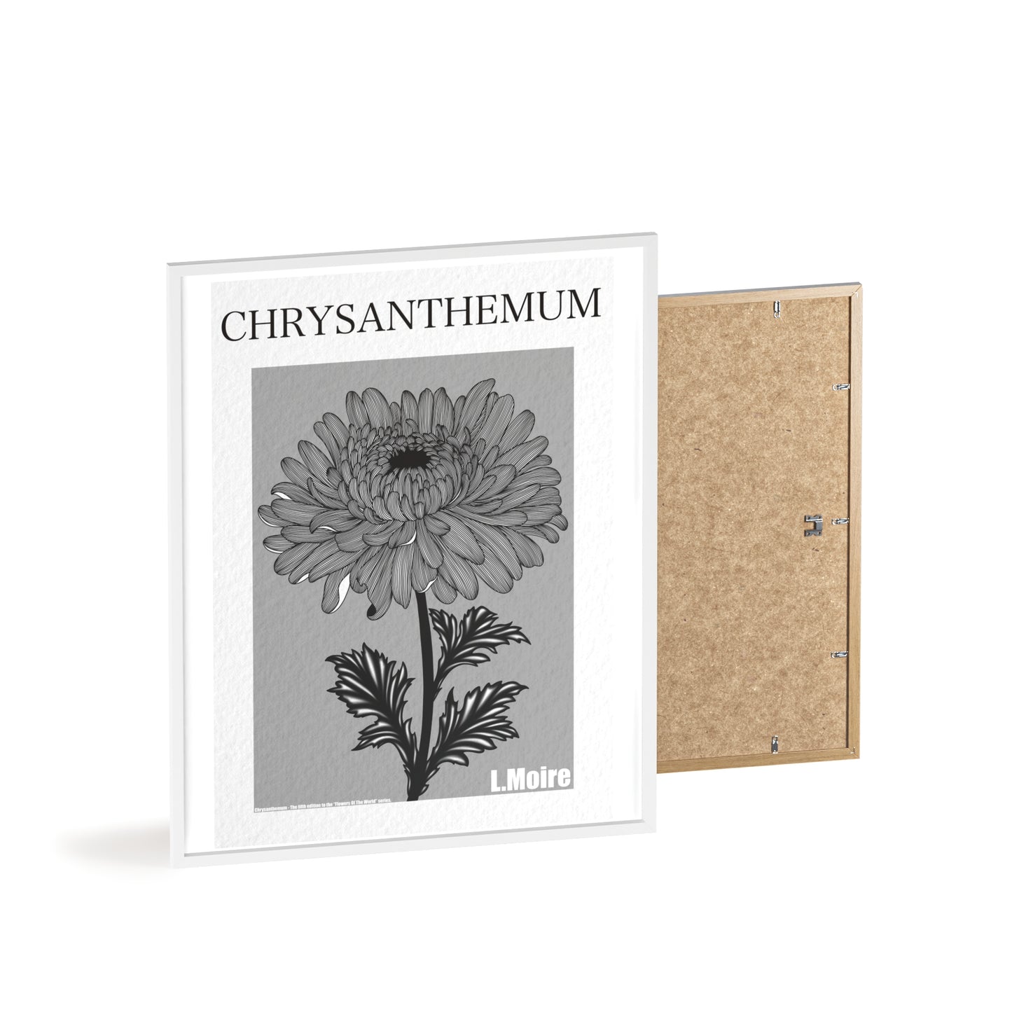 Chrysanthemum - The fifth edition - Flowers Of The World.