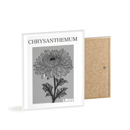 Chrysanthemum - The fifth edition - Flowers Of The World.