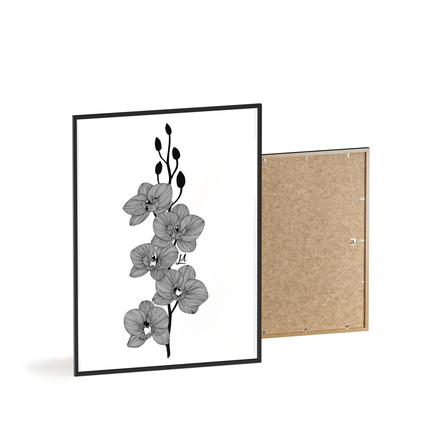 Elegant orchid line artwork - Framed.