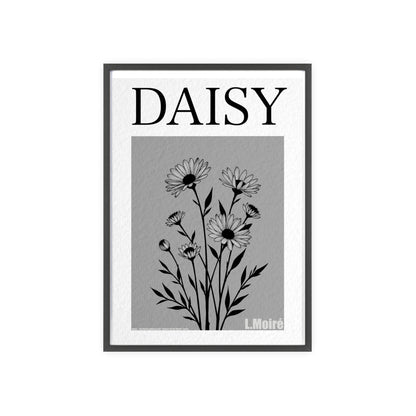 Daisy - The fourth edition - Flowers Of The World.