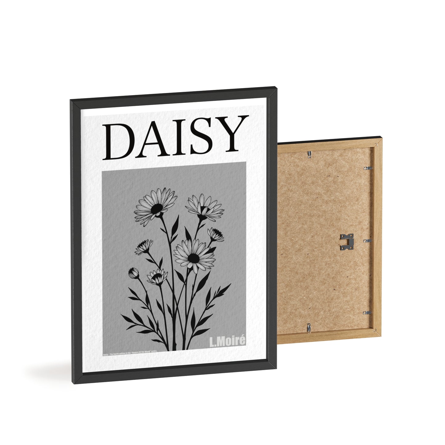 Daisy - The fourth edition - Flowers Of The World.