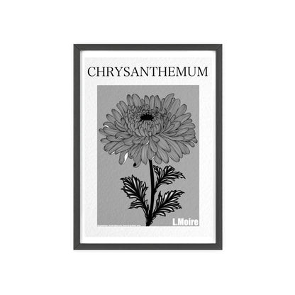 Chrysanthemum - The fifth edition - Flowers Of The World.