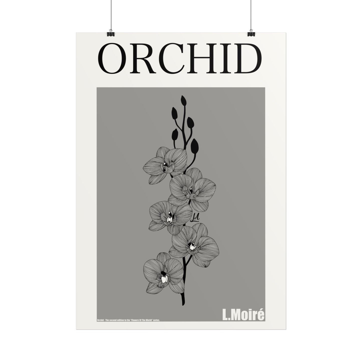 Orchid - the second edition to the - Flowers Of The World - series.