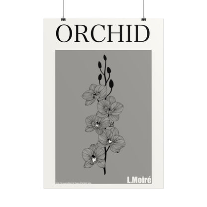 Orchid - the second edition to the - Flowers Of The World - series.