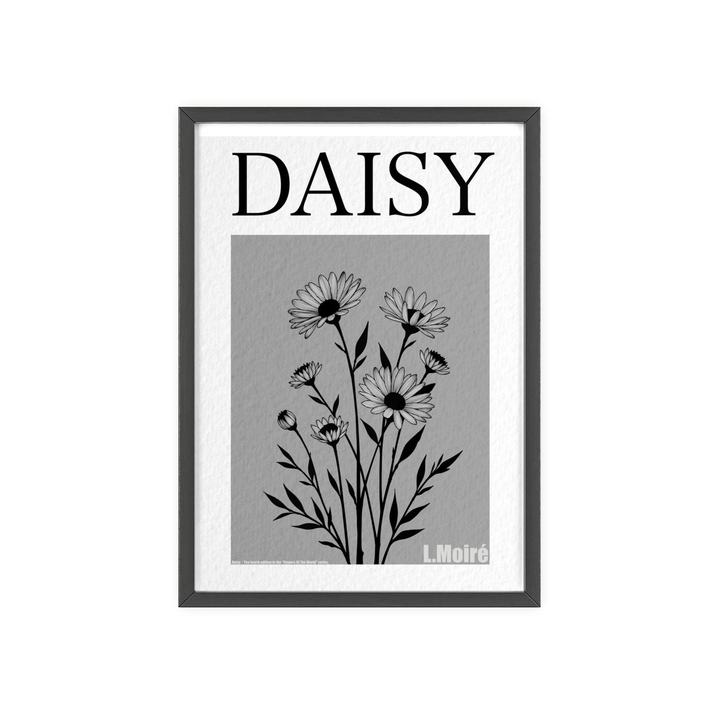 Daisy - The fourth edition - Flowers Of The World.
