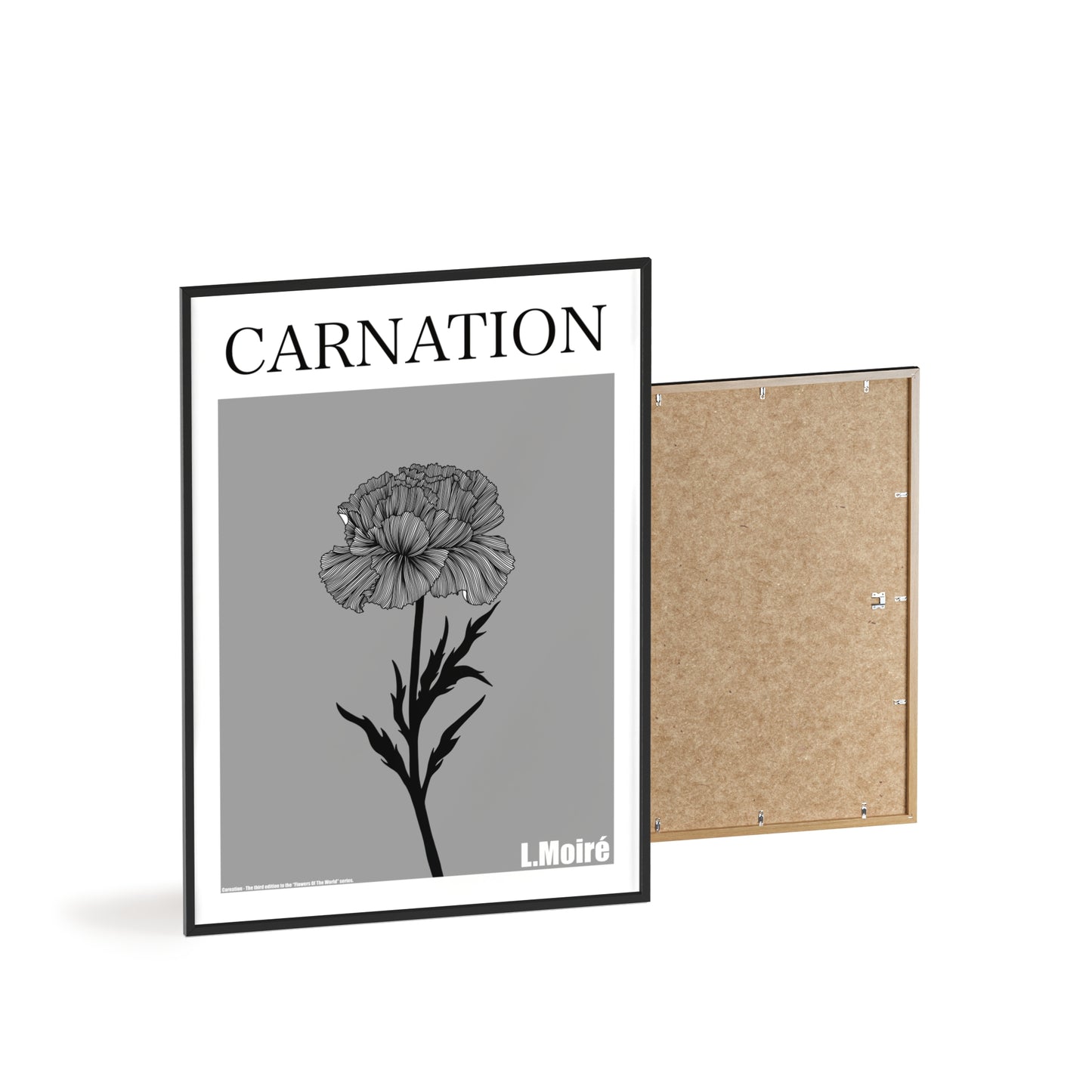 Carnation - The third edition to the - Flower Of The World - series.