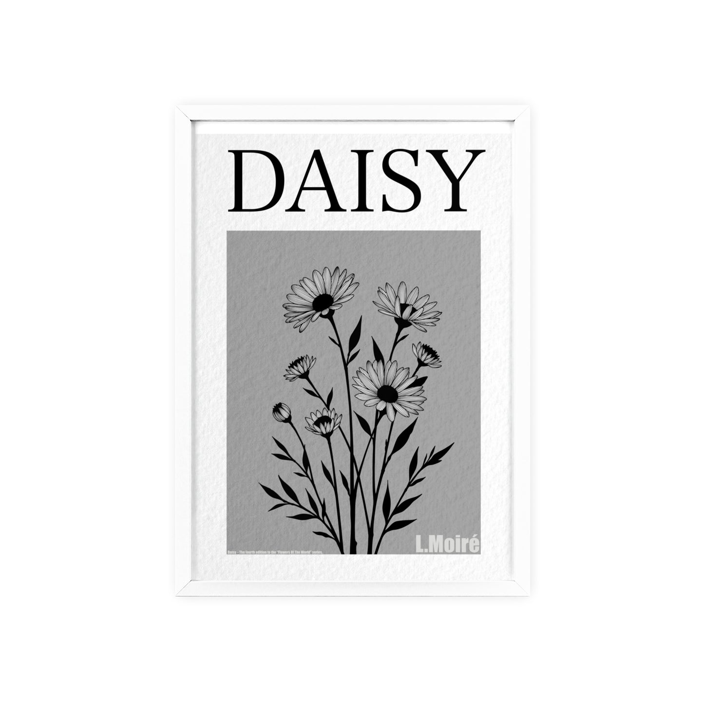 Daisy - The fourth edition - Flowers Of The World.