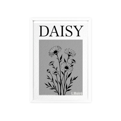 Daisy - The fourth edition - Flowers Of The World.