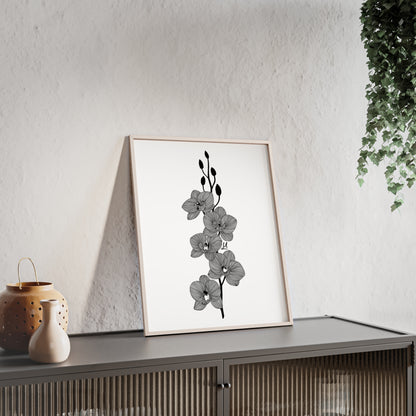Elegant orchid line artwork - Framed.