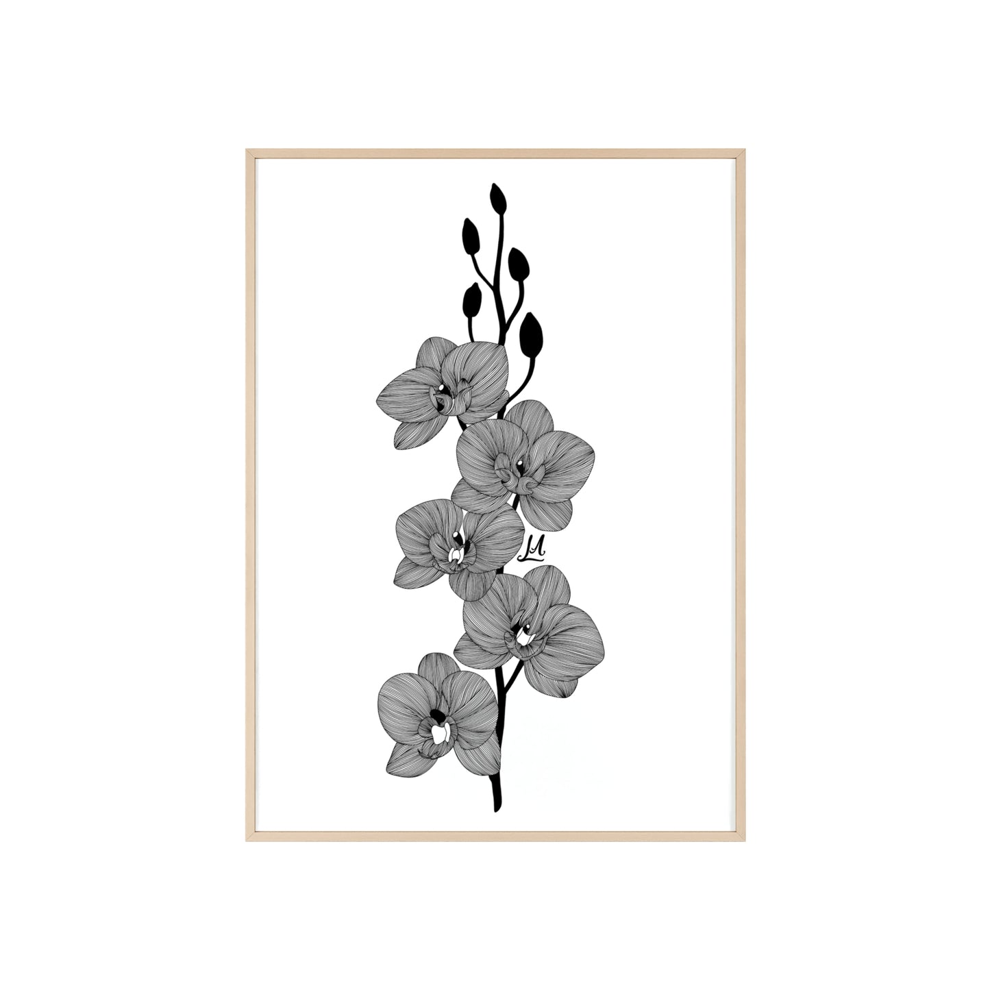 Elegant orchid line artwork - Framed.
