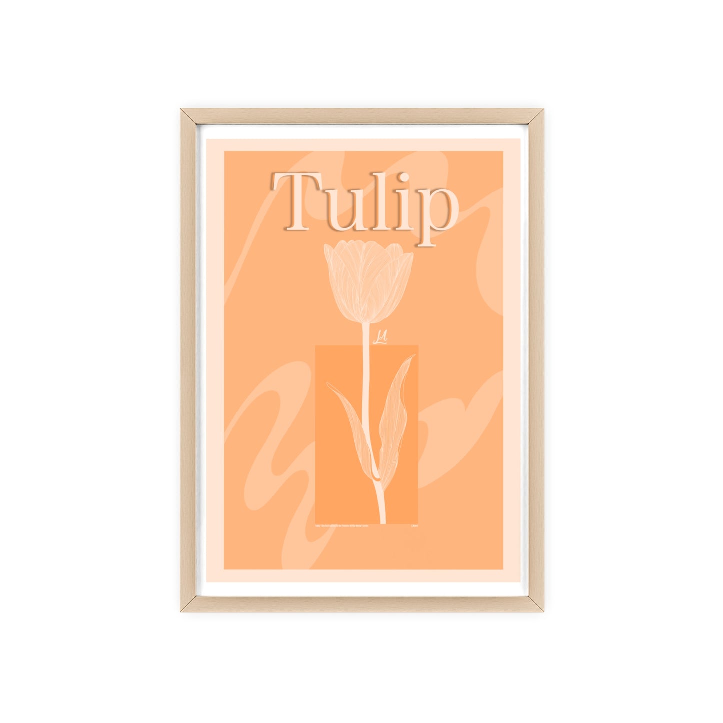 Tulip - The first edition to the - Flowers Of The World - serie. - Framed.