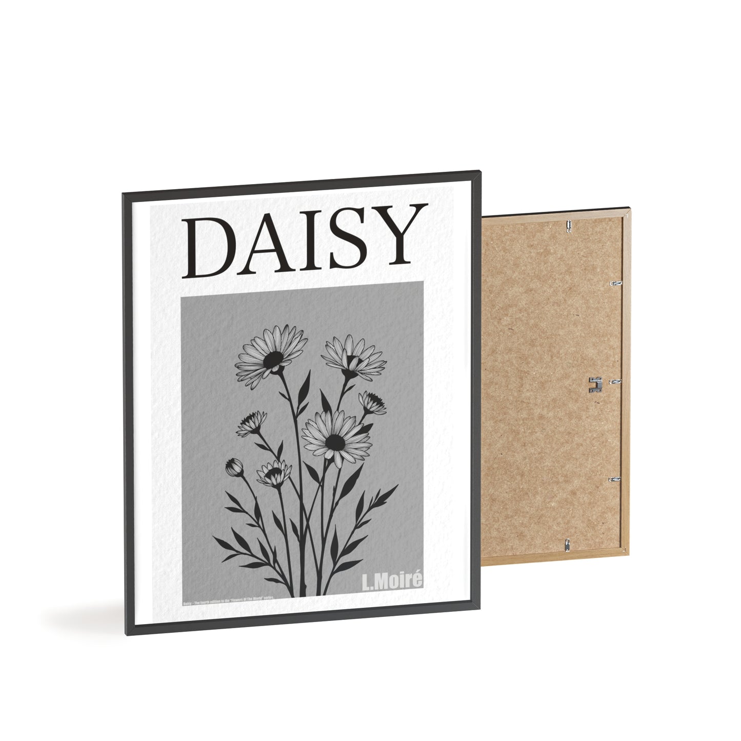 Daisy - The fourth edition - Flowers Of The World.