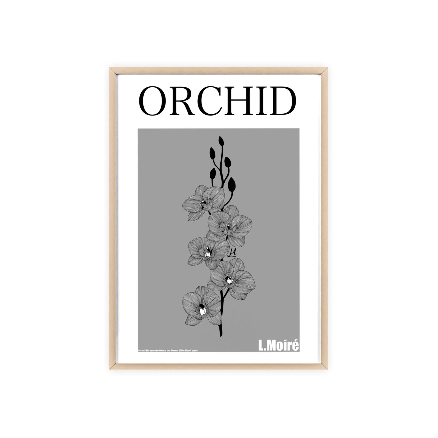 Orchid - The second edition to the - Flowers Of The World - series. - Framed.