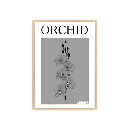 Orchid - The second edition to the - Flowers Of The World - series. - Framed.