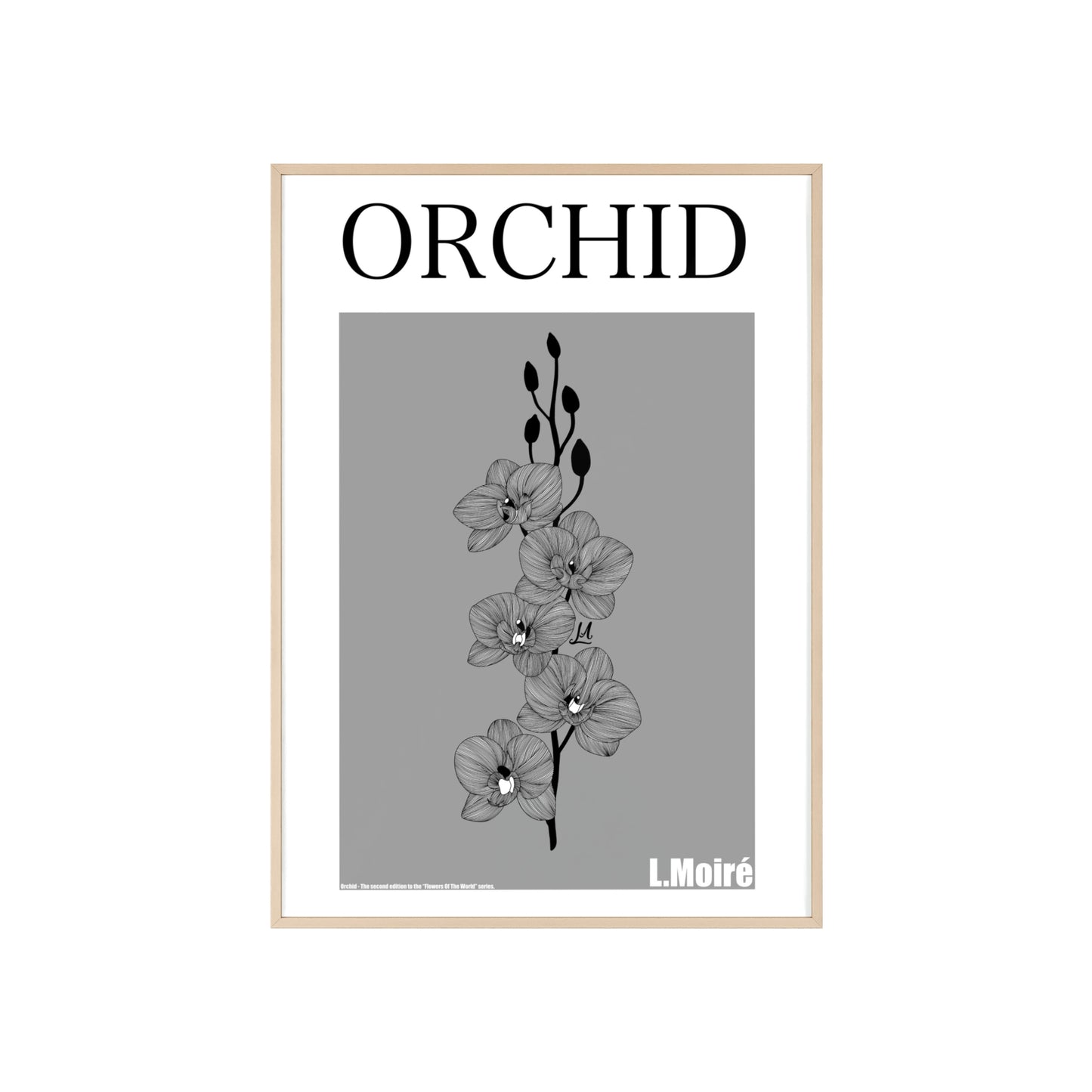 Orchid - The second edition to the - Flowers Of The World - series. - Framed.