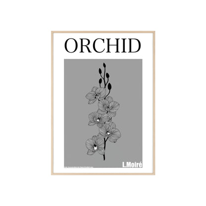 Orchid - The second edition to the - Flowers Of The World - series. - Framed.