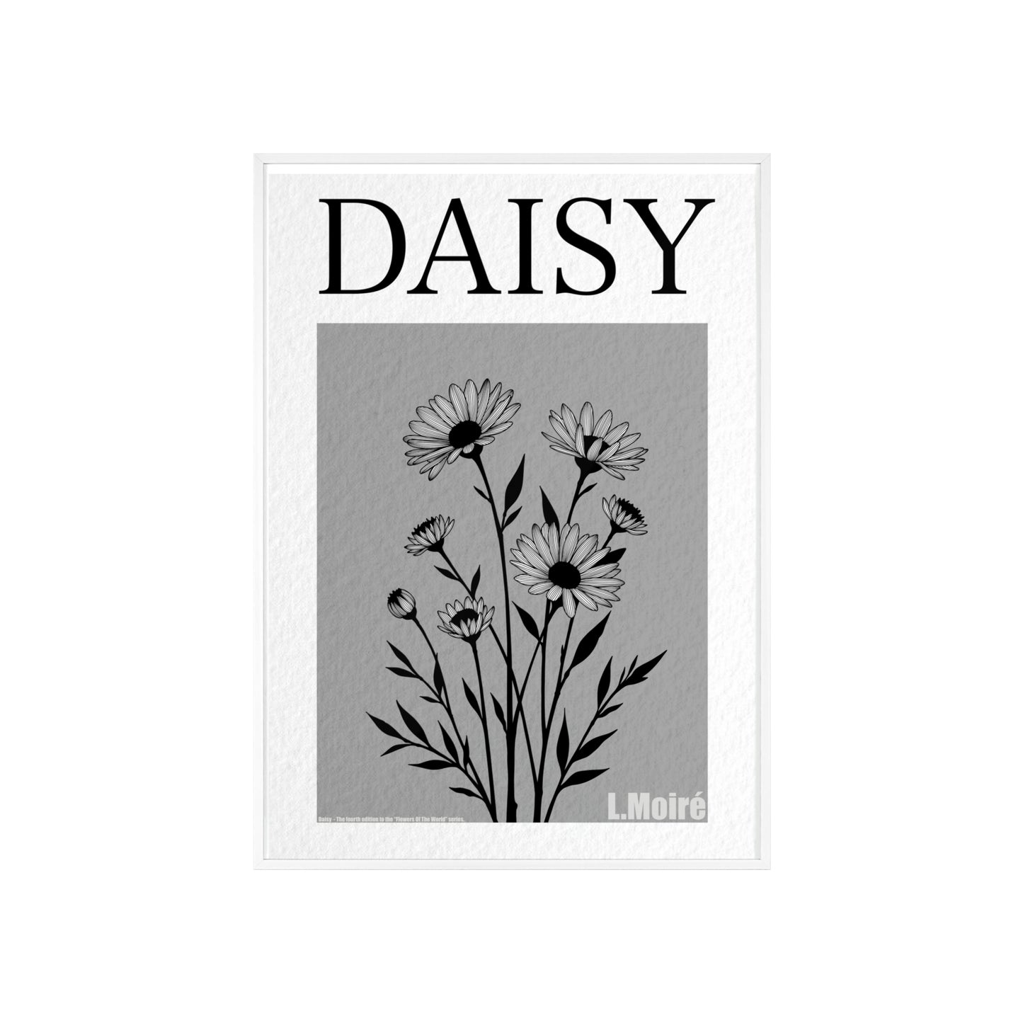 Daisy - The fourth edition - Flowers Of The World.