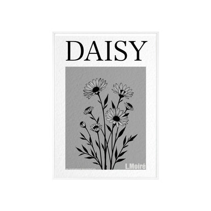 Daisy - The fourth edition - Flowers Of The World.