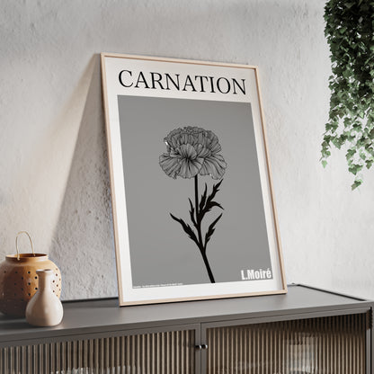 Carnation - The third edition to the - Flower Of The World - series.