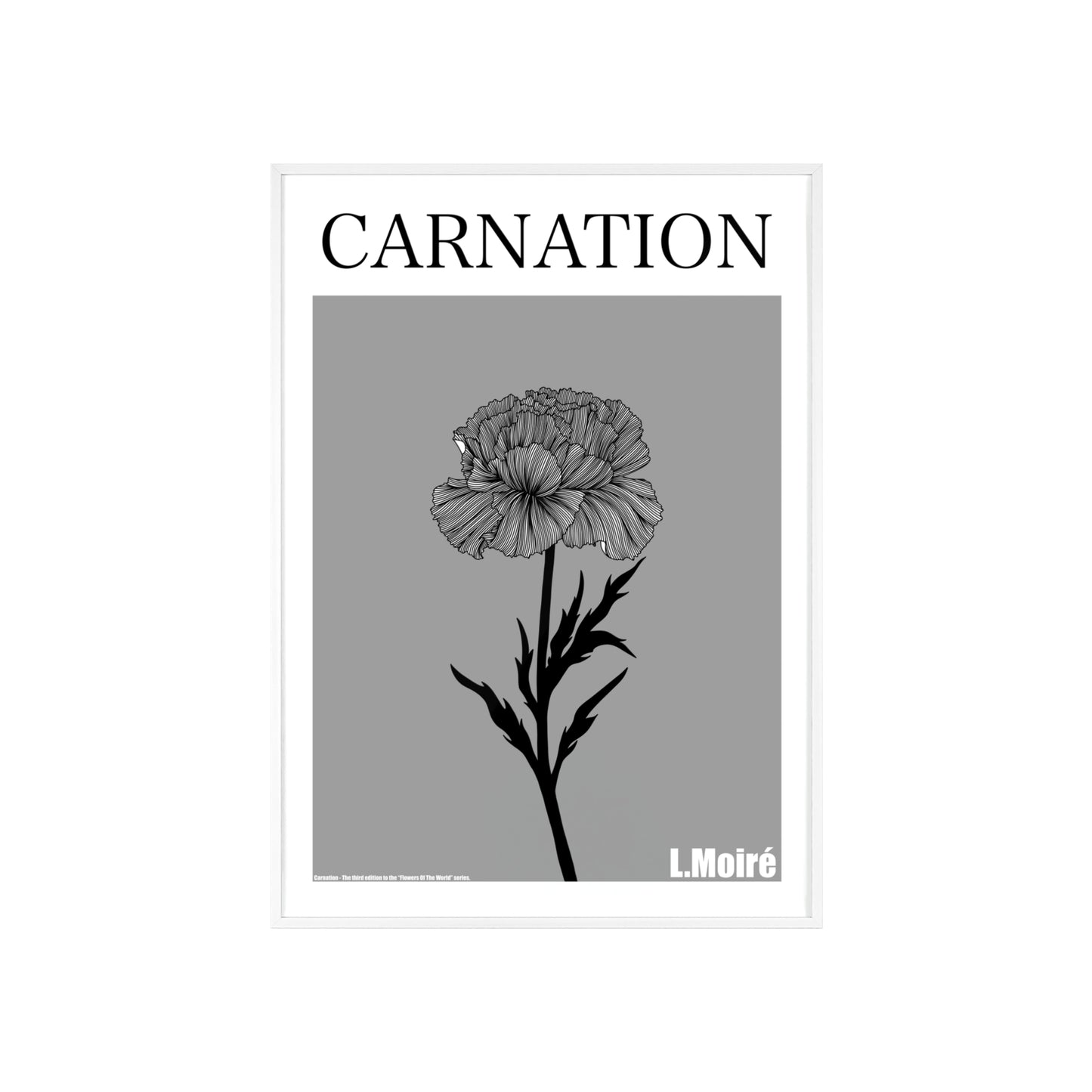 Carnation - The third edition to the - Flower Of The World - series.