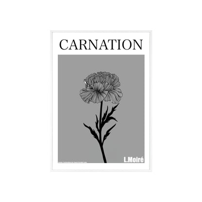 Carnation - The third edition to the - Flower Of The World - series.