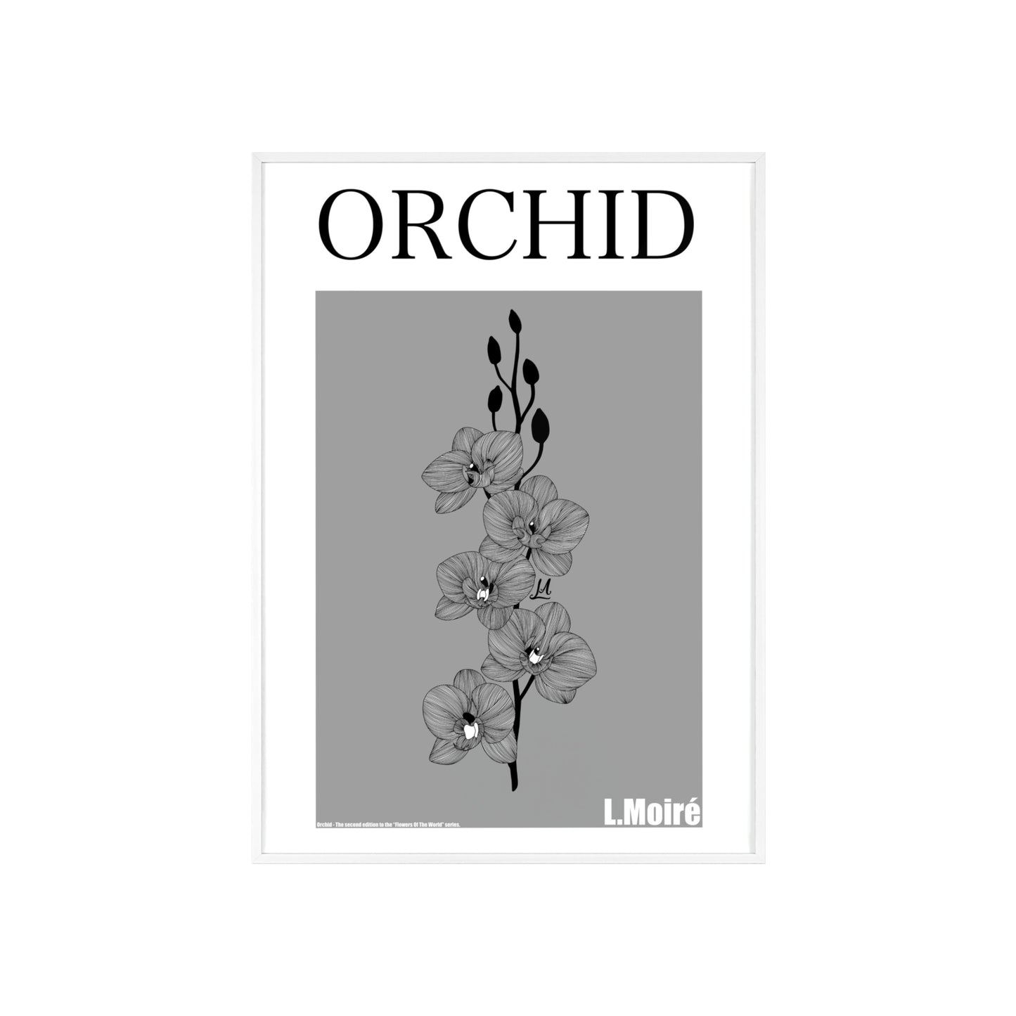 Orchid - The second edition to the - Flowers Of The World - series. - Framed.