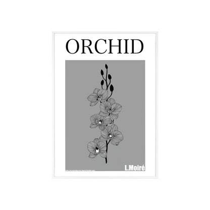 Orchid - The second edition to the - Flowers Of The World - series. - Framed.
