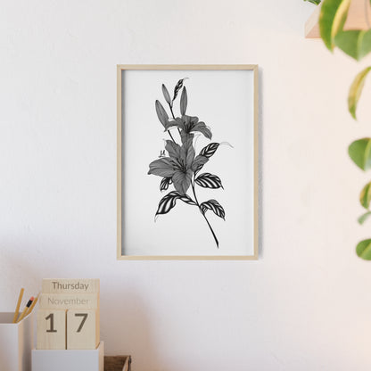 Elegant Floral Wall Art, Black and White Lily artwork - Framed.