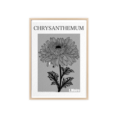 Chrysanthemum - The fifth edition - Flowers Of The World.