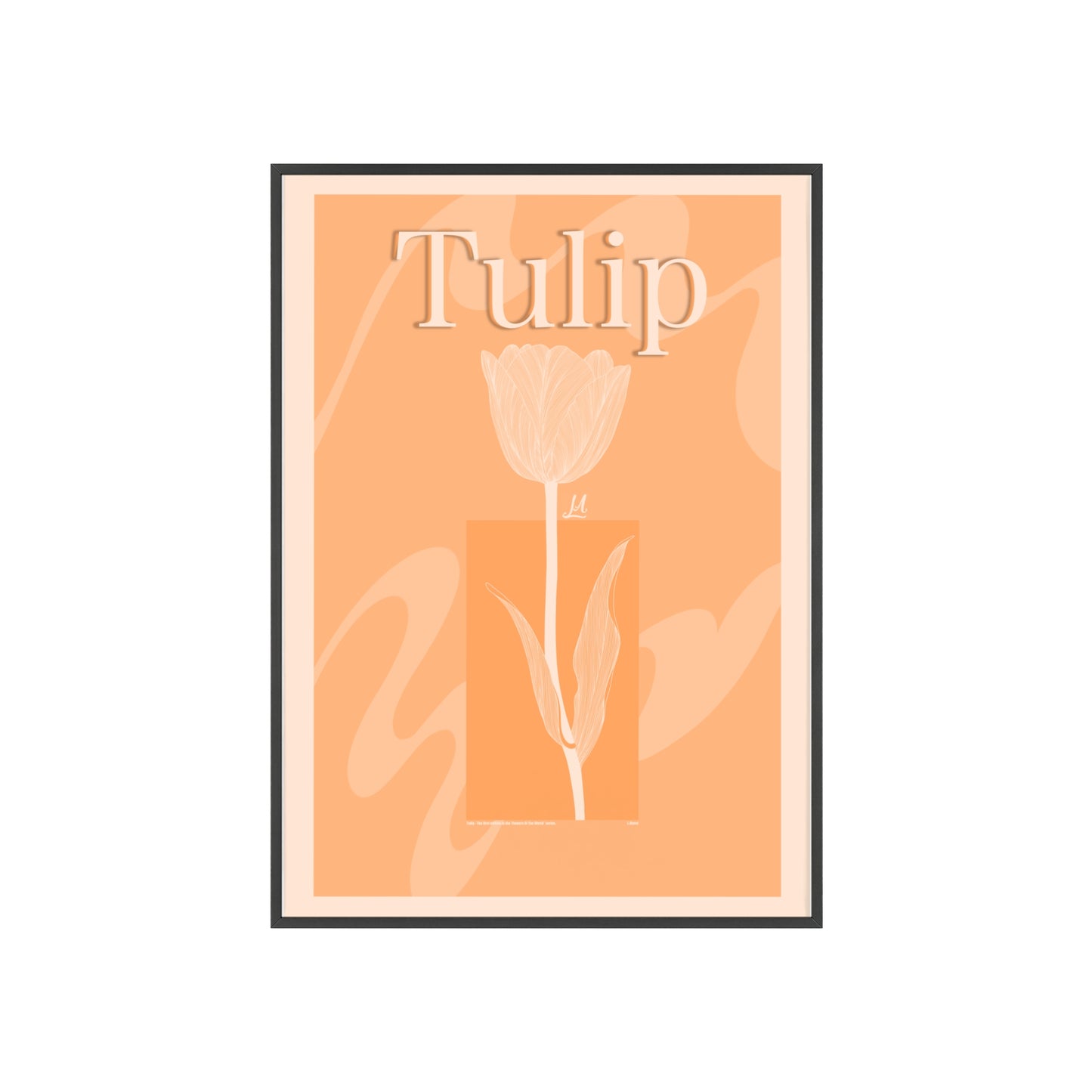 Tulip - The first edition to the - Flowers Of The World - serie. - Framed.