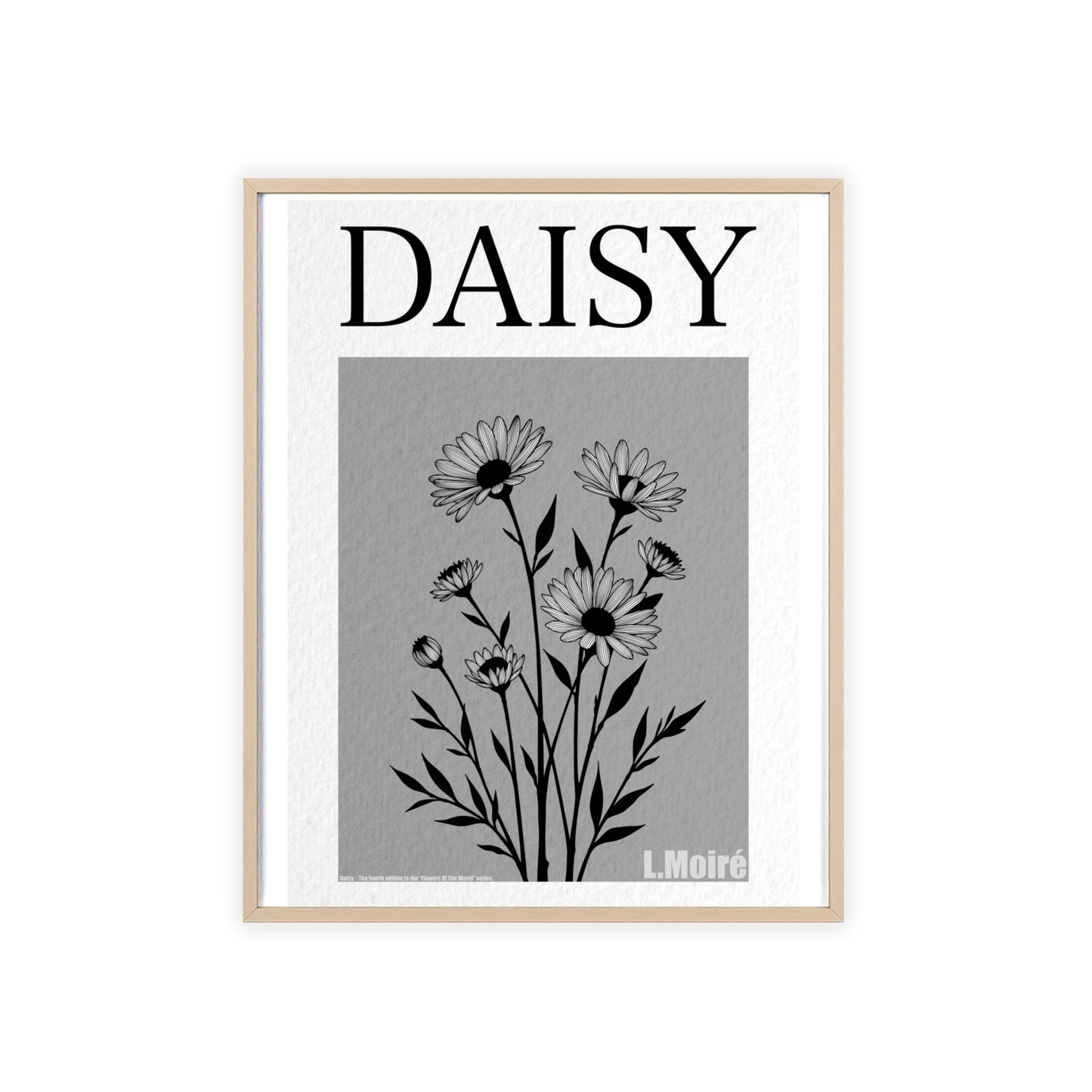 Daisy - The fourth edition - Flowers Of The World.
