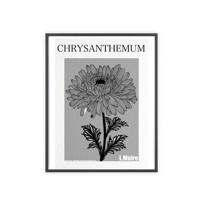 Chrysanthemum - The fifth edition - Flowers Of The World.