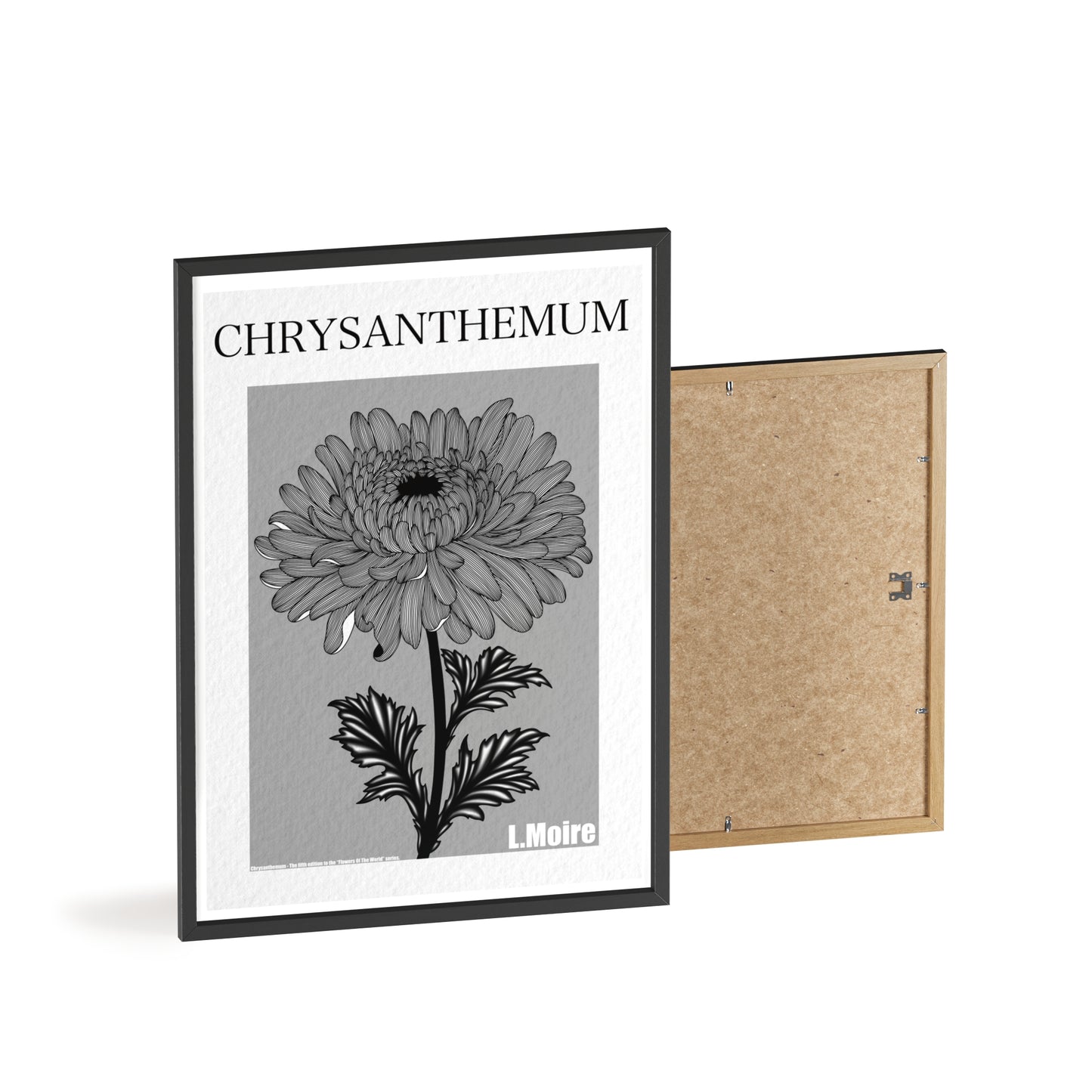 Chrysanthemum - The fifth edition - Flowers Of The World.