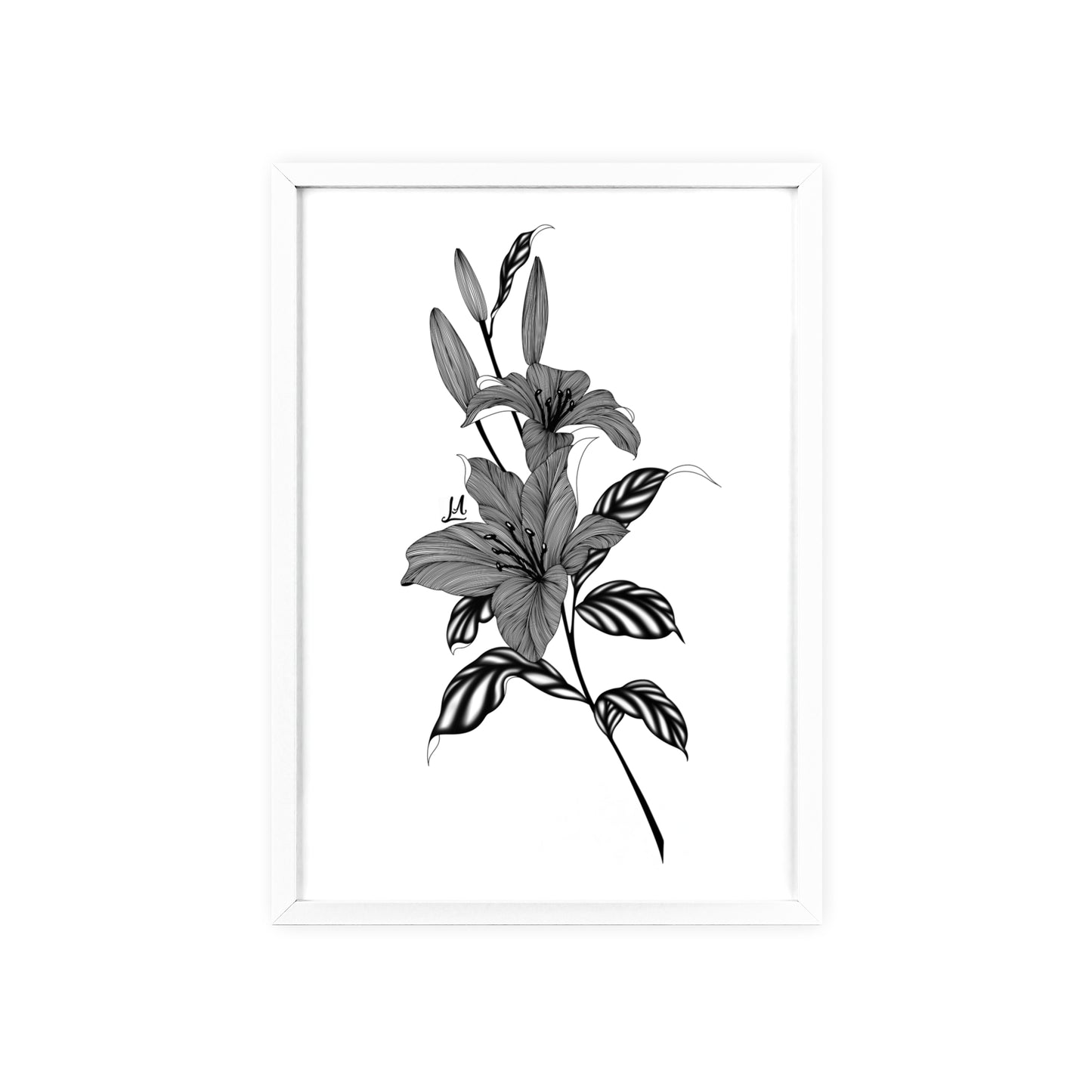 Elegant Floral Wall Art, Black and White Lily artwork - Framed.