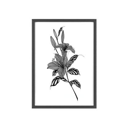 Elegant Floral Wall Art, Black and White Lily artwork - Framed.