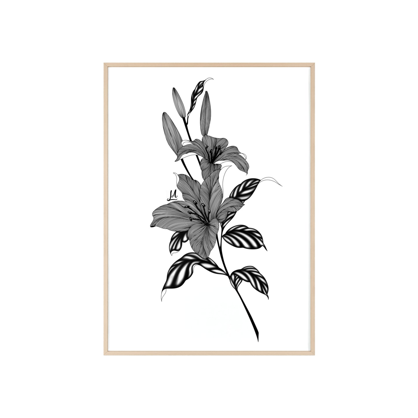 Elegant Floral Wall Art, Black and White Lily artwork - Framed.