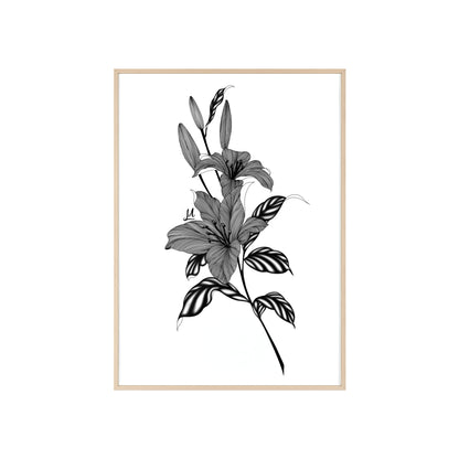 Elegant Floral Wall Art, Black and White Lily artwork - Framed.